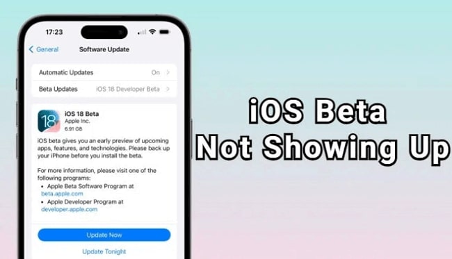 ios18ベータが表示されない