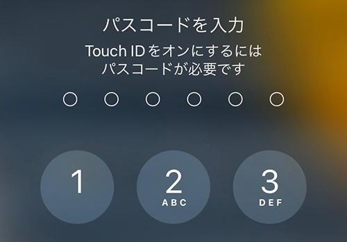 再起動の後でiPadのパスコードを入力する